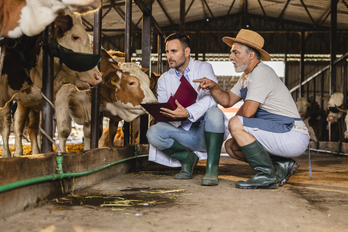 Traps to Avoid When Selling Your Veterinary Practice